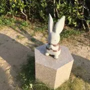ゆうの画像