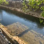 そらまめの画像