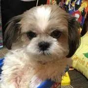 メル