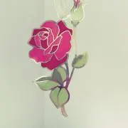 にゃあこの画像