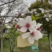 りょう