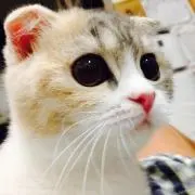 あ
