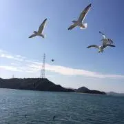 sakuratanの画像