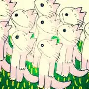 ももんがもも