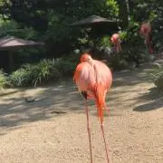 むー