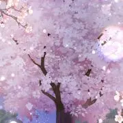 断捨離始め