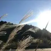 nmの画像