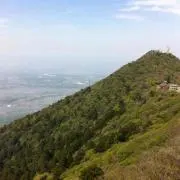 tyの画像