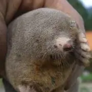 ソウタの画像