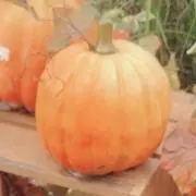 pomupomu