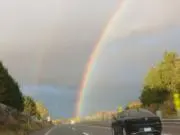 キンチャの画像