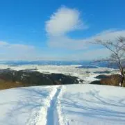 やまをいきるの画像