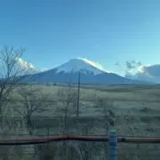 ティンバー愛好家