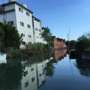 チキ☆チキ