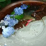 reiの画像