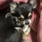 ayakaママ