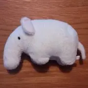 ぞうゾウの画像