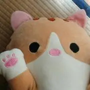 ポニ太郎(* ´ ꒳ ｀*  )