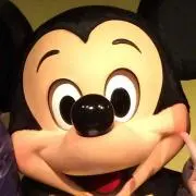 YHSの画像