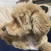 エマ