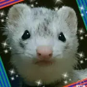 Mikip