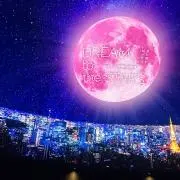 Sの画像