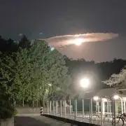 あーちゃの画像