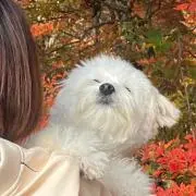 うなぎ。の画像