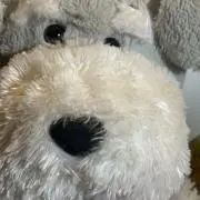 xxx