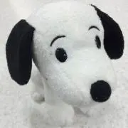 gumdの画像