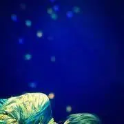 いわしの画像