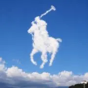 脱走チンパンジーの画像