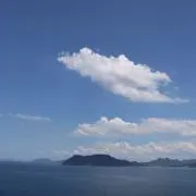 tmys66の画像