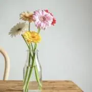 いちごの画像