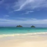 zooobowの画像