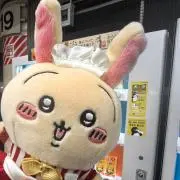 yiyiの画像