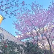【即購入OK❁】プロフ読んでくださいの画像