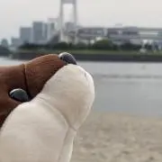 わとそんの画像