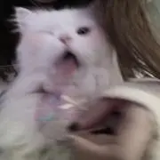 ゆっけの画像