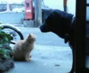 とも