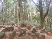 森田