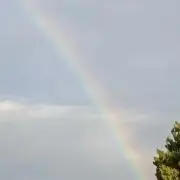 このは