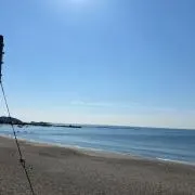 はるかの画像