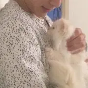 あるちゃの画像