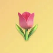 えも₍ᐢ.ˬ.ᐢ₎⭕️お値下げ依頼⭕️の画像