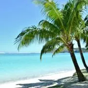 beach★の画像