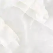 syuの画像