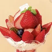 ピノ吉の画像