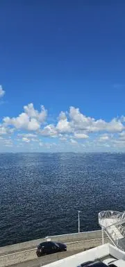 Tomの画像