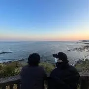Mの画像